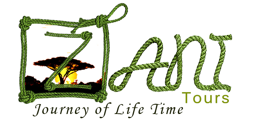 zani logo